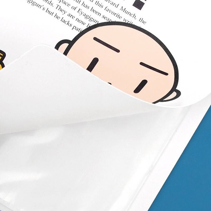 2Young Munch 20 sheets translucent document file folder 2Young Munch 20 sheets translucent document file folder