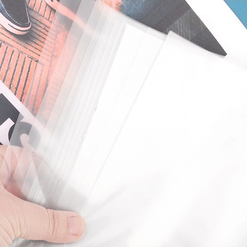2Young Munch 20 sheets translucent document file folder 2Young Munch 20 sheets translucent document file folder