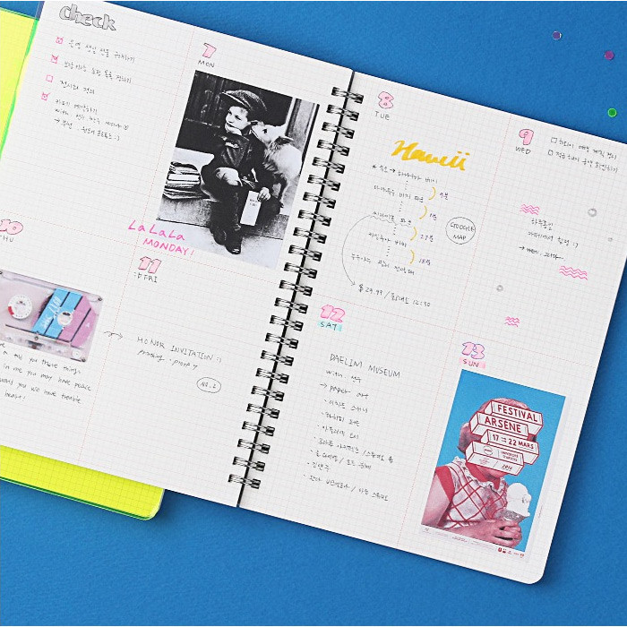 Grid notebook - Wanna This Clear spiral grid notebook