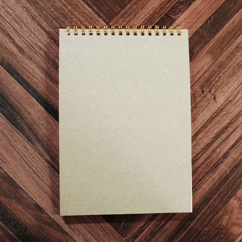 Sturdy Back - Universal condition Le cahier antique green A5 size spiral center lined notebook