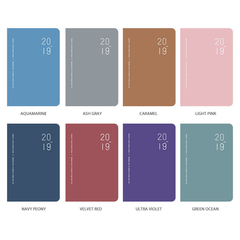Color - 2019 Basic dated weekly planner 