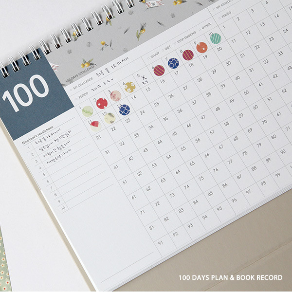100 days plan