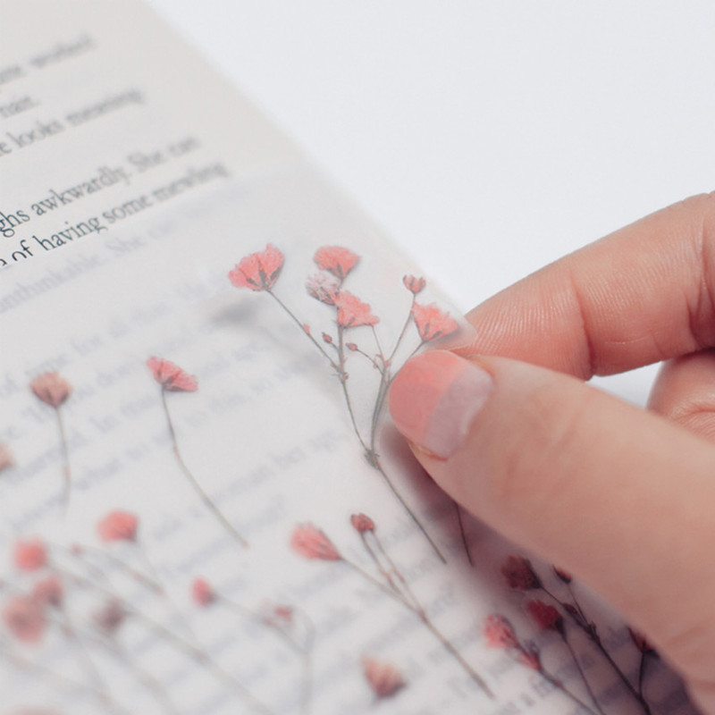 Gypsophila press flower deco sticker