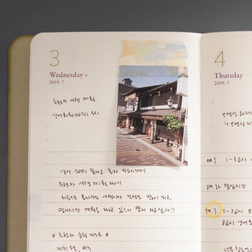 Monthly plan - 2019 Comfy and roomy long dated daily planner