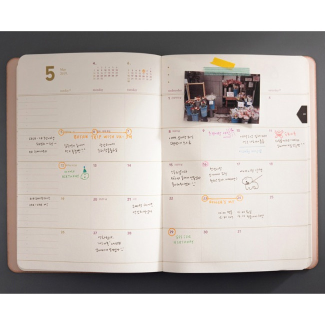 Monthly plan - 2019 Slim and sensible small dated monthly planner