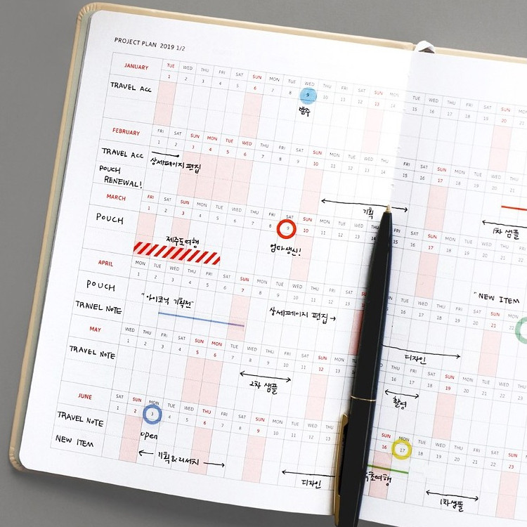 Project plan - 2019 Brilliant simple dated weekly planner