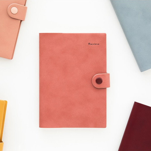 Livework 2019 Rainbow large dated diary planner