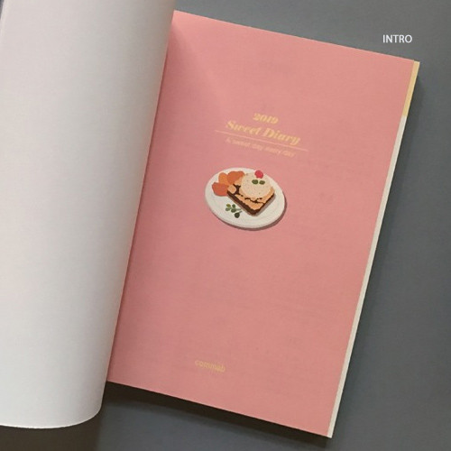 Intro - 2019 Sweet illustration dated weekly scheduler
