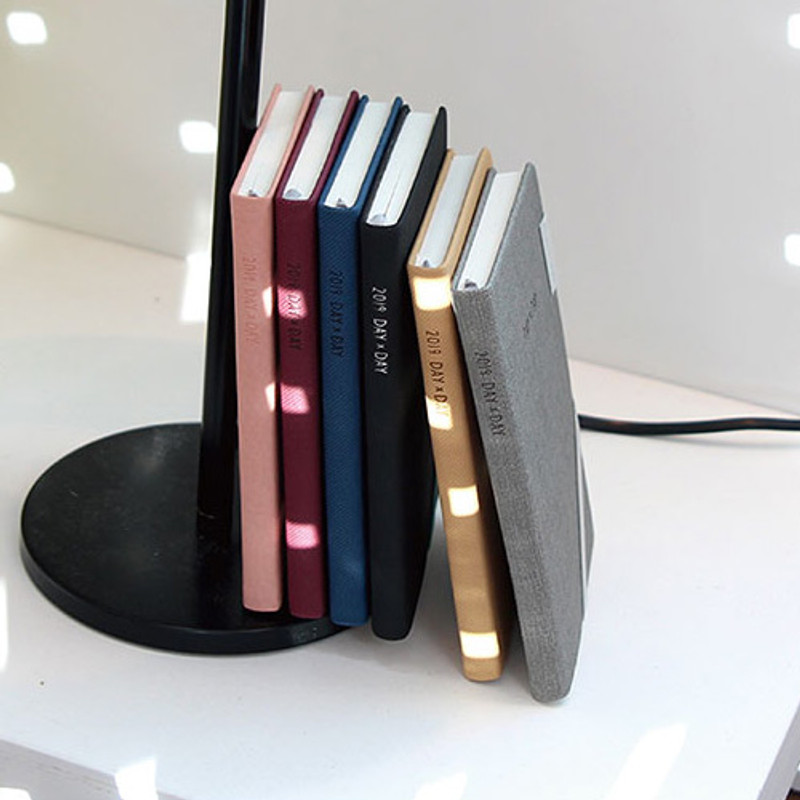 2019 Day by Day small dated weekly diary 2019 Day by Day small dated weekly diary