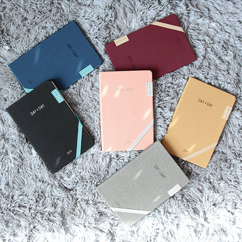 2019 Day by Day small dated weekly diary 2019 Day by Day small dated weekly diary