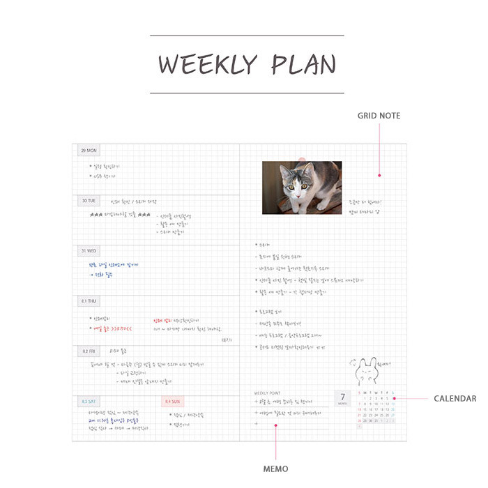 Weekly plan - 2019 Design my life envelope small dated weekly diary