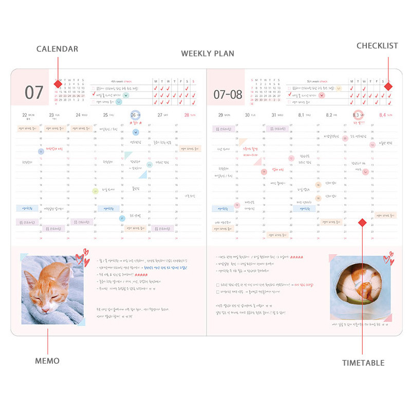 Weekly plan - 2019 My story large dated weekly planner scheduler