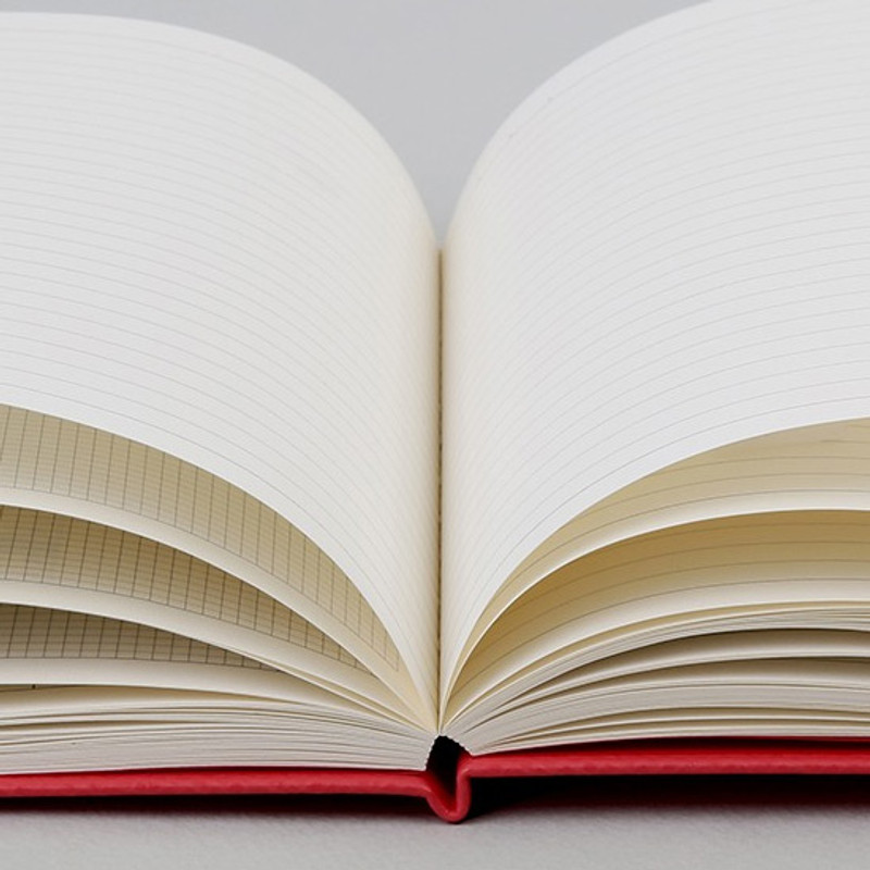 80gsm paper - 2019 Appointment free dated daily diary 80gsm paper - 2019 Appointment free dated daily diary