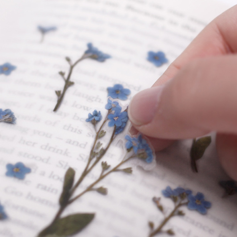 Usage example - Forget me not press flower deco sticker Usage example - Forget me not press flower deco sticker