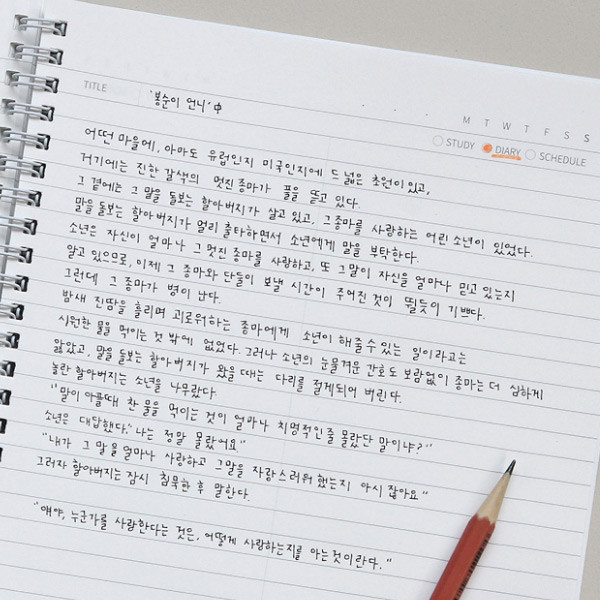 Example of use - Lovable spiral bound lined notebook ver2