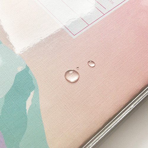 PVC cover - O-CHECK Spring come dateless 6 month study planner