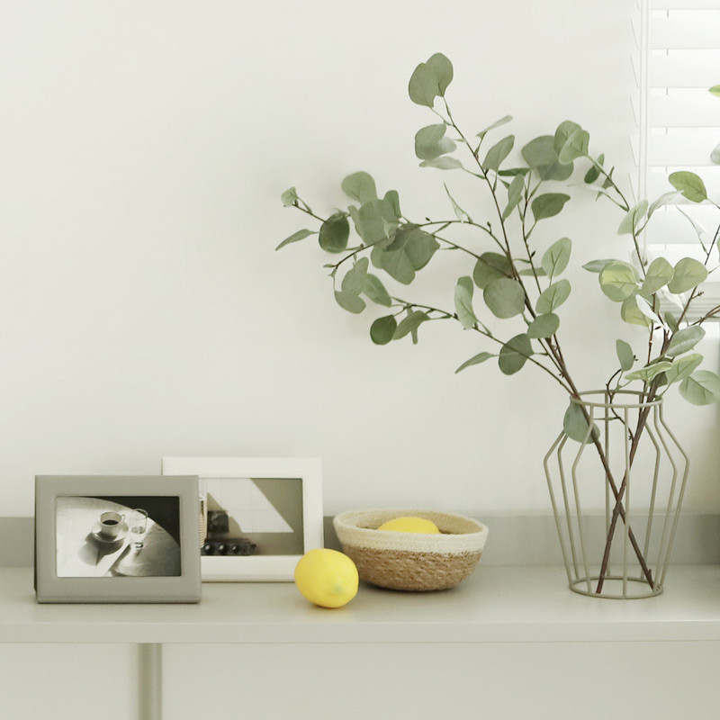 Example of use - Fenice Premium PU leather two ways magnetic picture frame
