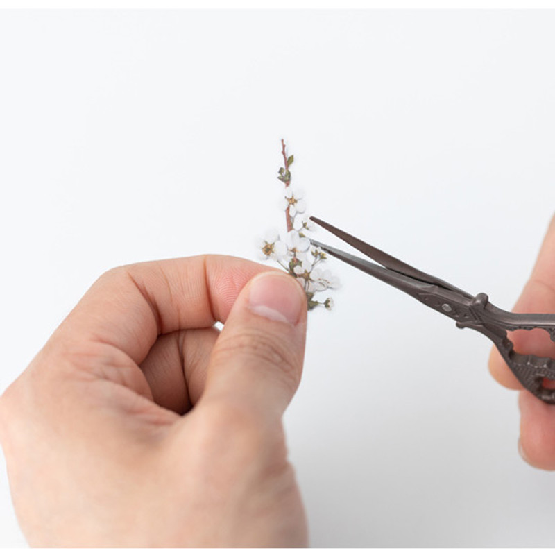 Appree Bridal wreath press flower deco sticker Appree Bridal wreath press flower deco sticker