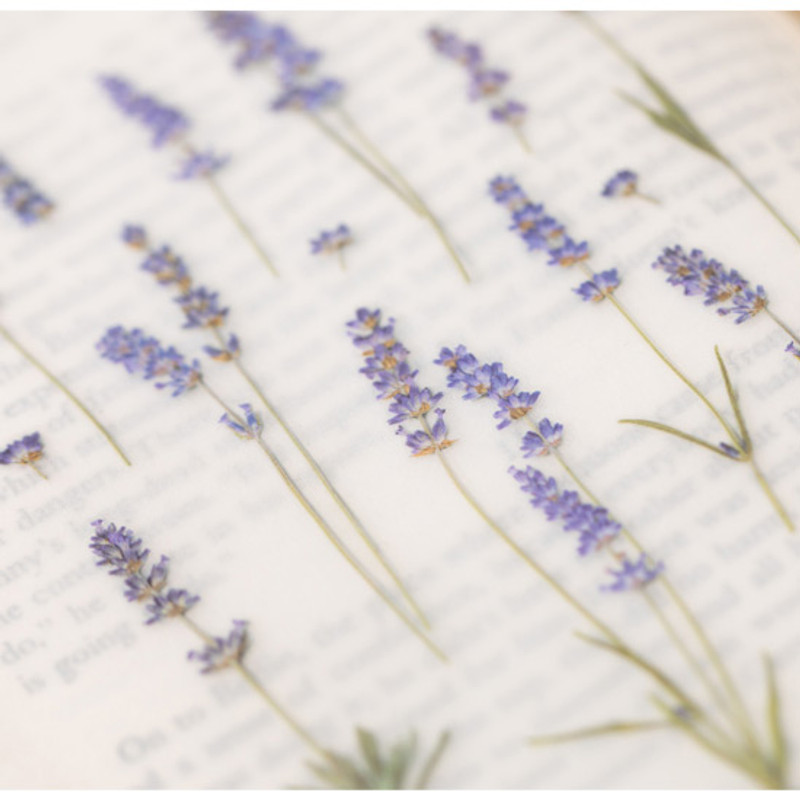Appree Lavender press flower deco sticker