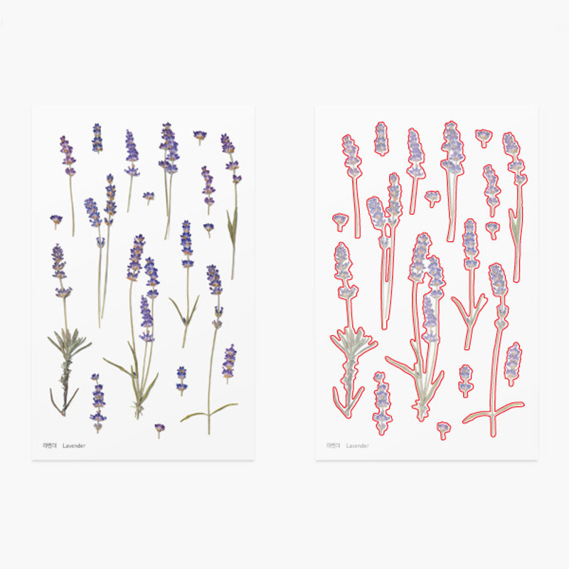 Appree Lavender press flower deco sticker