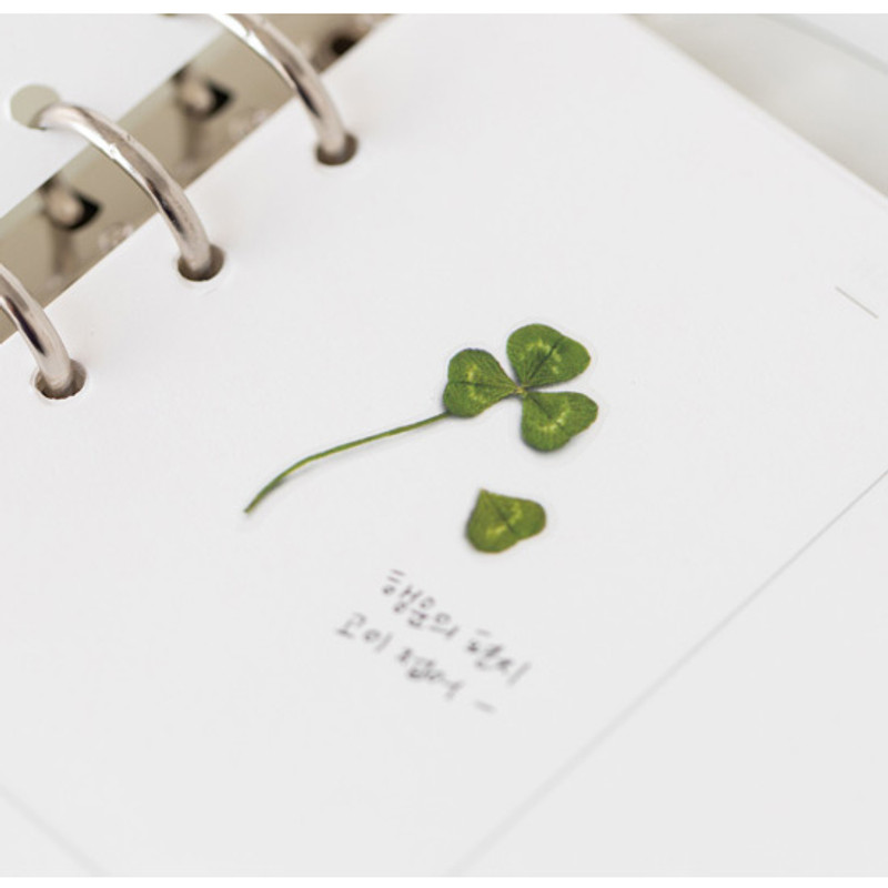 Example of use - Appree Four leaf clover press flower deco sticker Example of use - Appree Four leaf clover press flower deco sticker