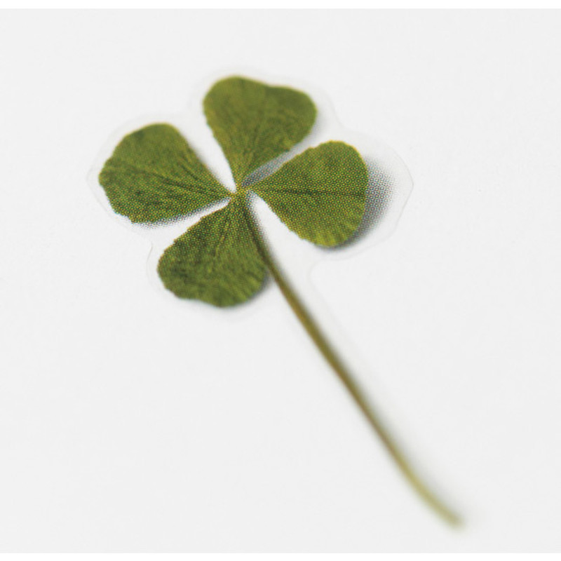 Appree Four leaf clover press flower deco sticker Appree Four leaf clover press flower deco sticker