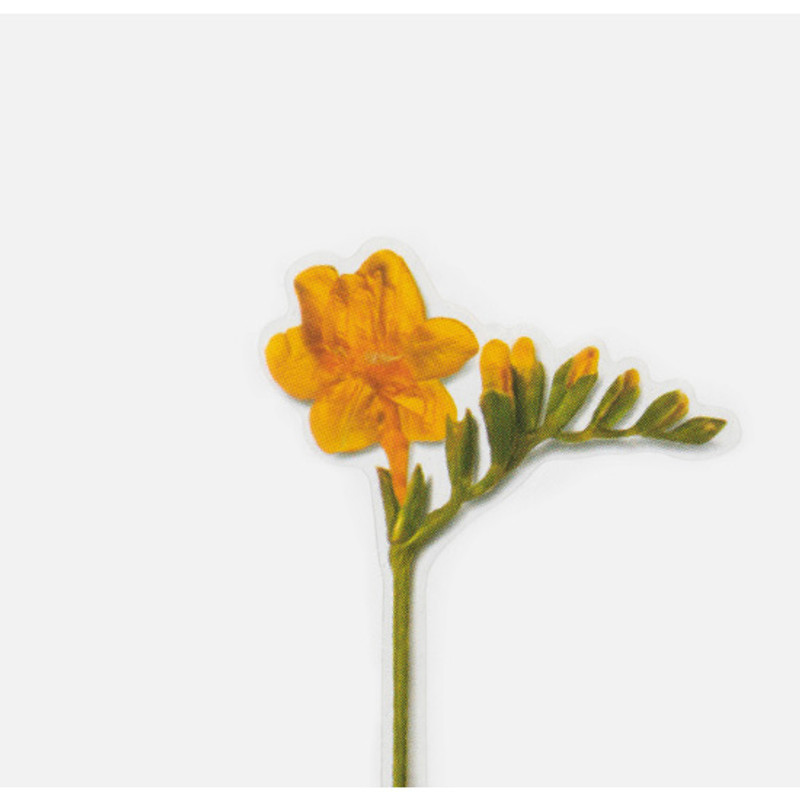 Appree Freesia press flower deco sticker Appree Freesia press flower deco sticker