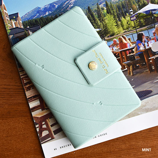 Mint - Play Obje Airline travel passport case holder