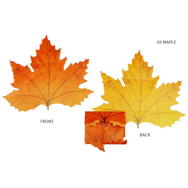 Maple - ABJECTION Tree leaf 3 cards set