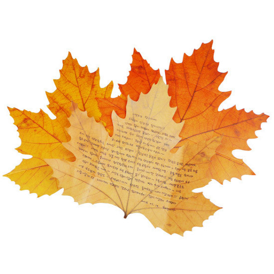 Example of use - ABJECTION Tree leaf 3 cards set