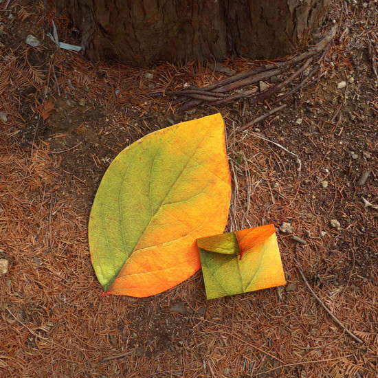 Example of use - ABJECTION Tree leaf 3 cards set