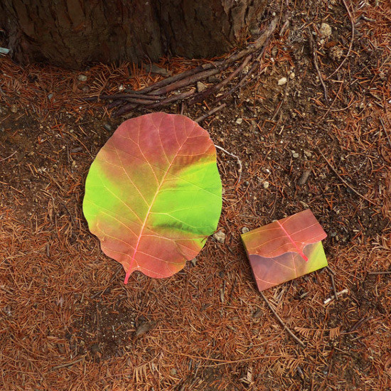 Example of use - ABJECTION Tree leaf 3 cards set