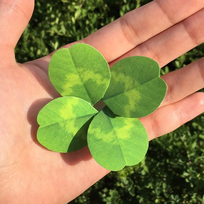 Example of use - ABJECTION Four leaf clover cards and envelope se