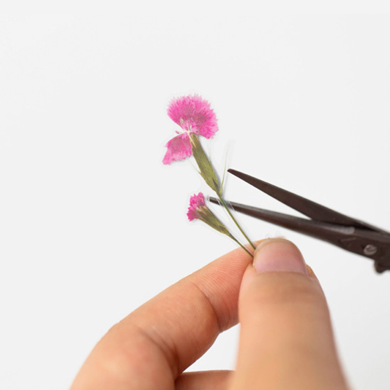 Example of use - Appree China pink press flower stickers