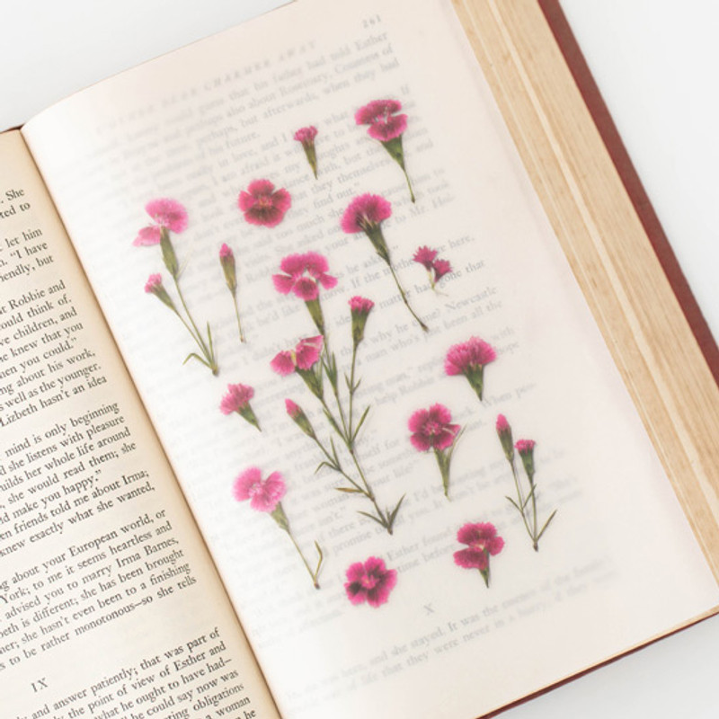Example of use - Appree China pink press flower stickers