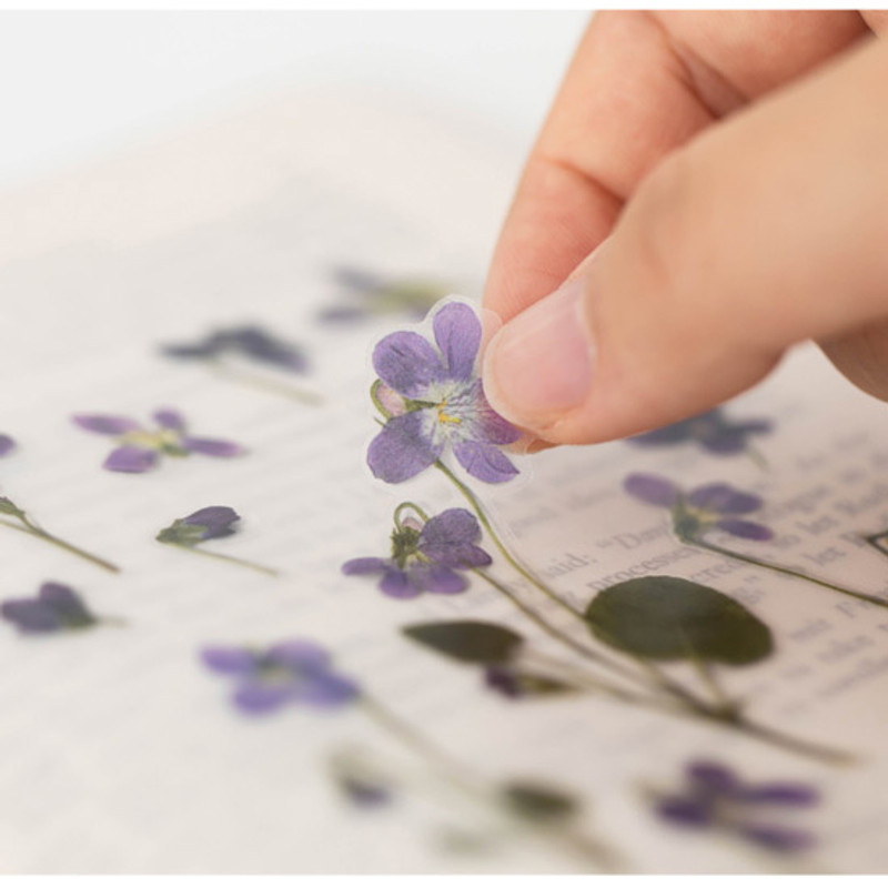 Example of use - Appree Manchurian violet press flower stickers Example of use - Appree Manchurian violet press flower stickers