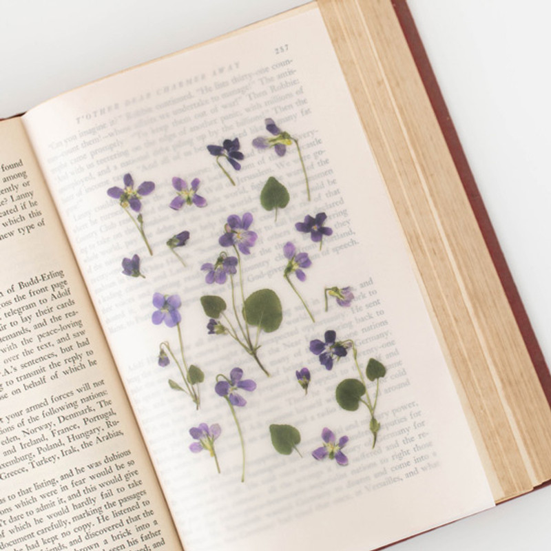 Example of use - Appree Manchurian violet press flower stickers Example of use - Appree Manchurian violet press flower stickers