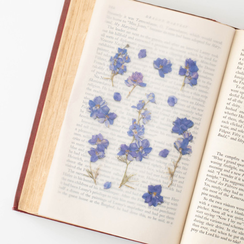 Example of use - Appree Larkspur press flower stickers