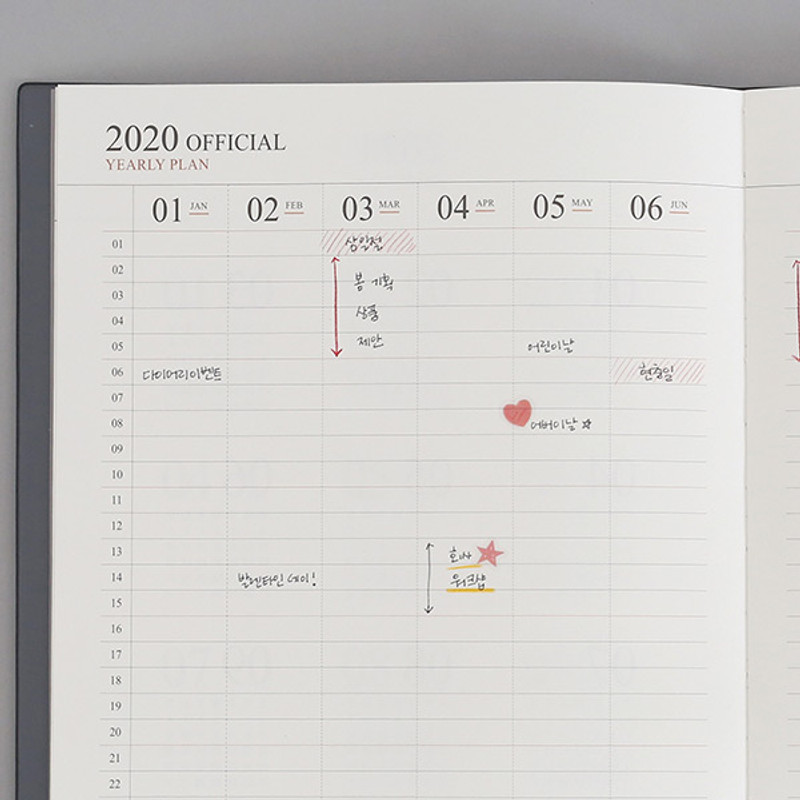 Yearly plan - Indigo 2020 Official large dated monthly planner scheduler