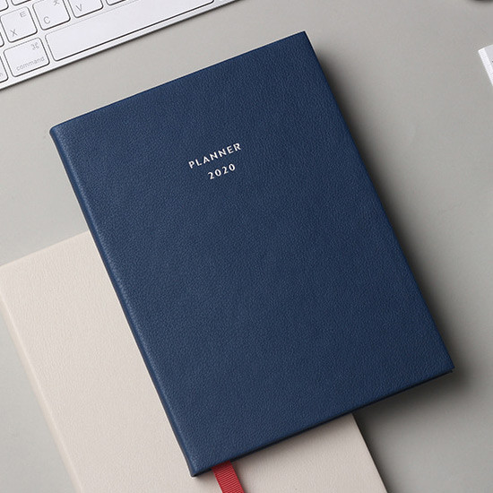 Dash And Dot 2020 Pro red bookmark dated weekly planner