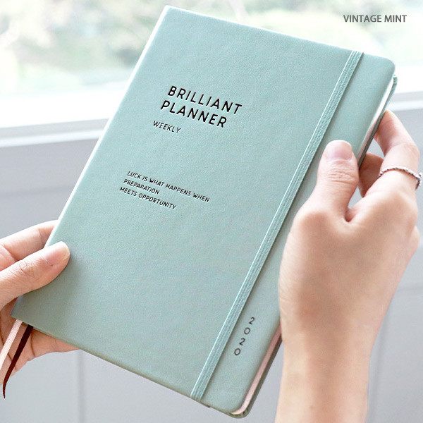 Vintage mint - ICONIC 2020 Brilliant dated weekly planner scheduler