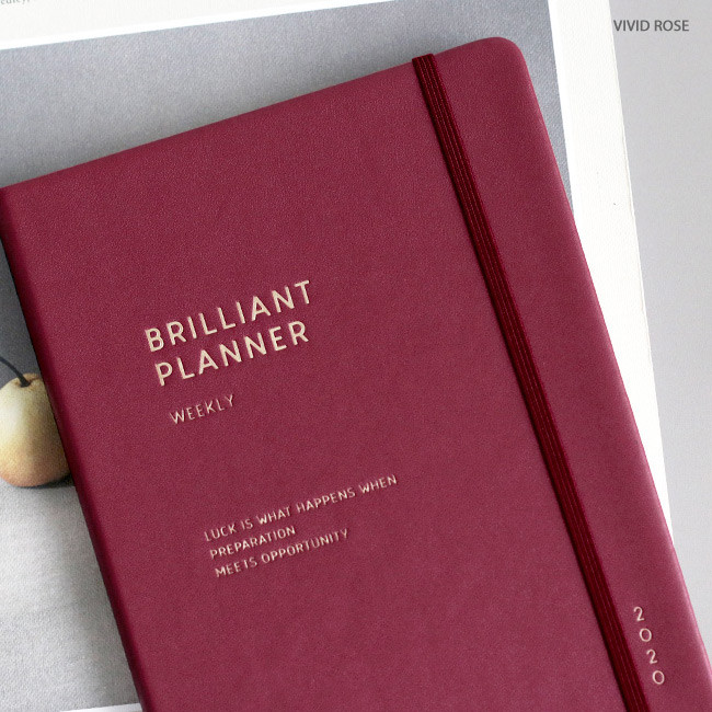 Vivid rose - ICONIC 2020 Brilliant dated weekly planner scheduler