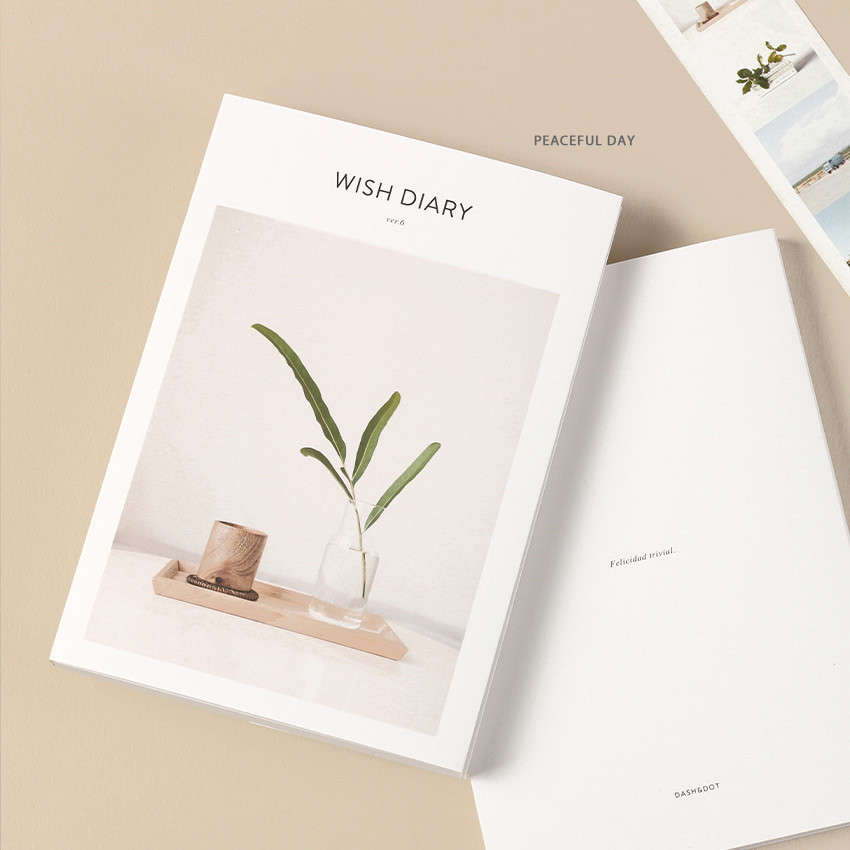 Dash And Dot 2021 Wish Dated Weekly Diary Planner Ver6