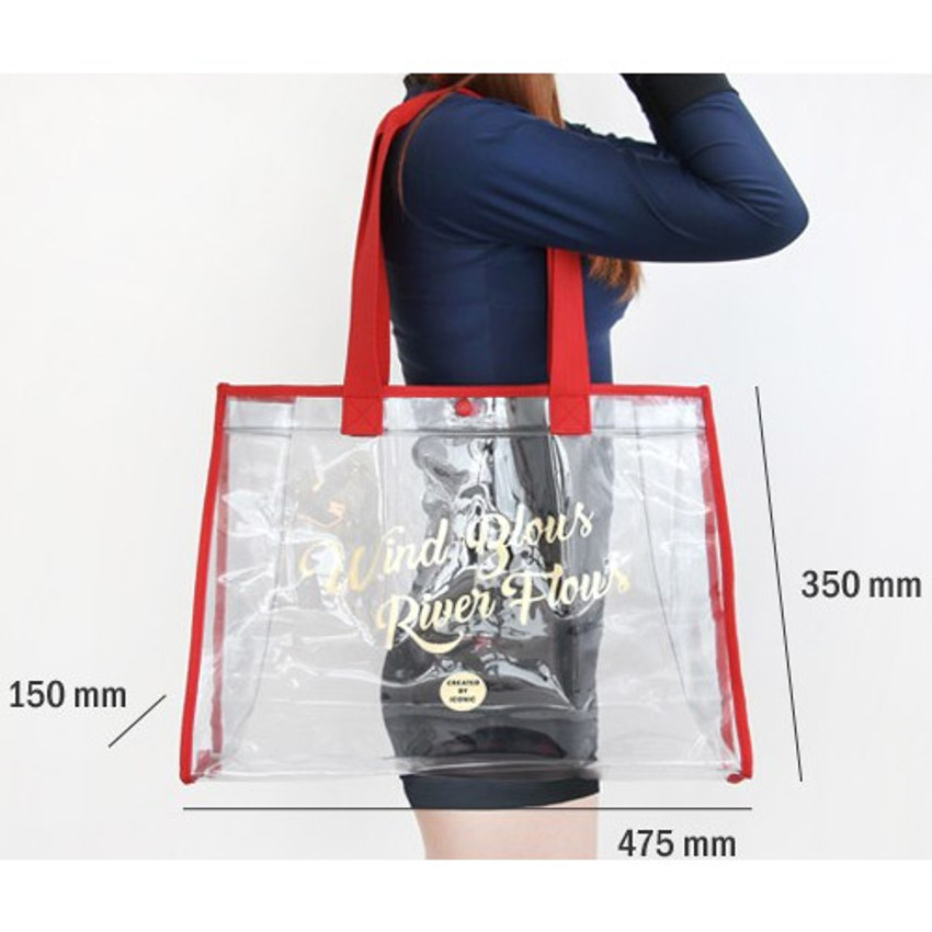 beach clear bag