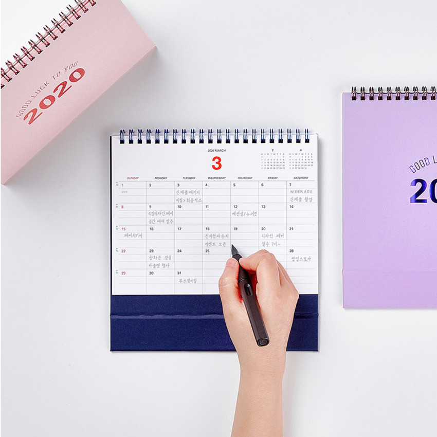 Antenna Shop 2020 Good Luck To You Monthly Desk Calendar