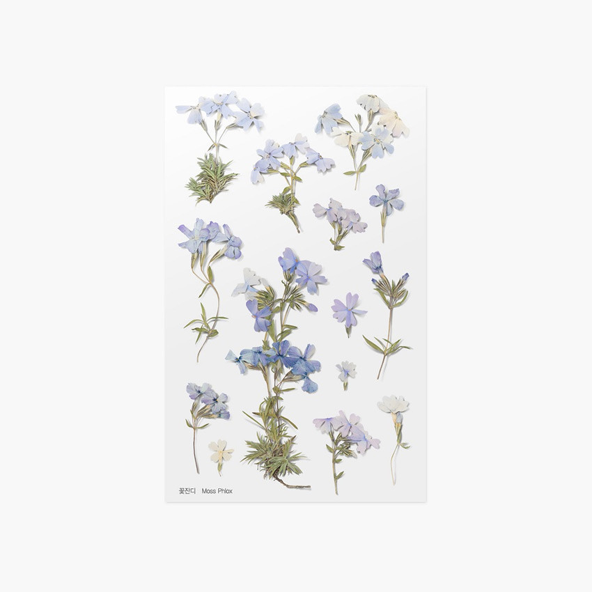Appree Moss phlox pressed flower sticker