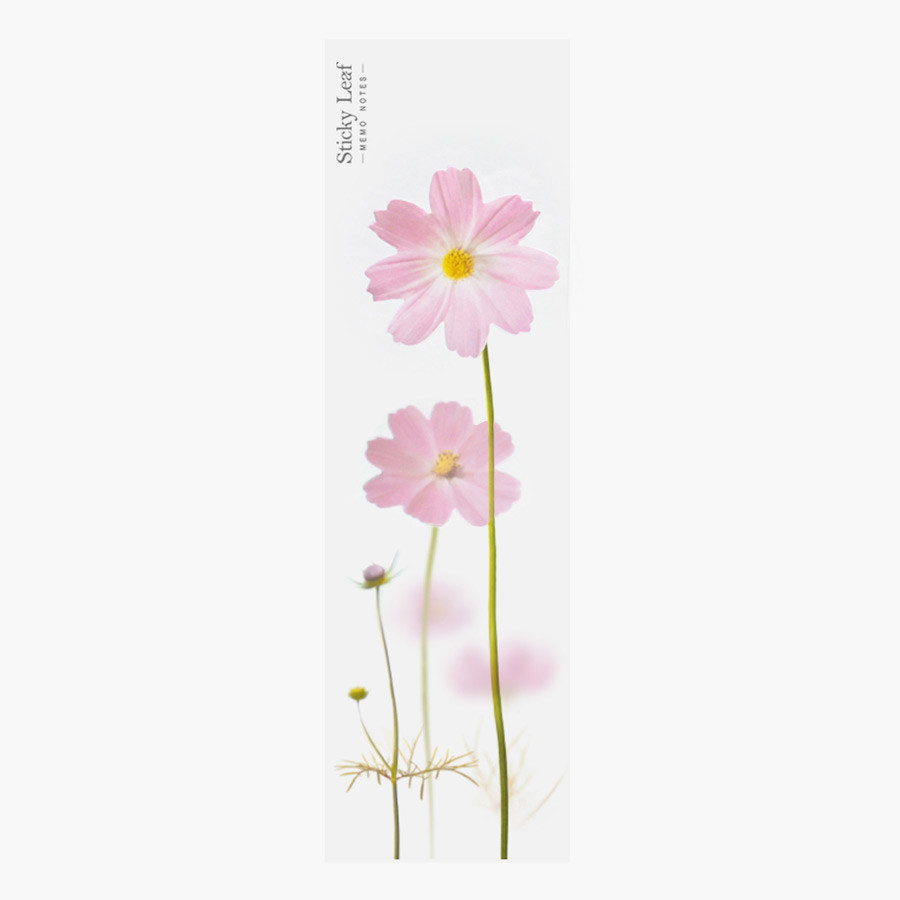 Pink cosmos sticky memo notes