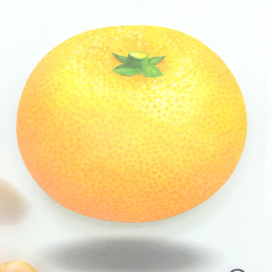 Tangerine sticky memo notes