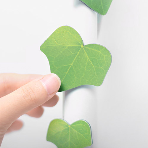 Appree Ivy magnet set