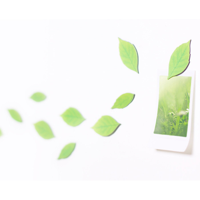 Appree Birch magnet set
